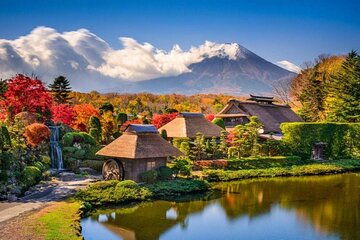 Mt. Fuji Classic One Day Tour from Tokyo