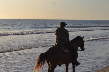 Horseback Riding and Sunset Riding to the Seashore