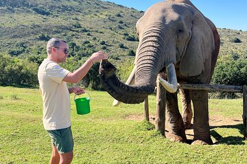 Private Group 2 Day Greater Addo Ultimate Safari 