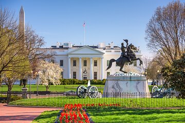 Washington DC Highlights: Private Half-Day Tour