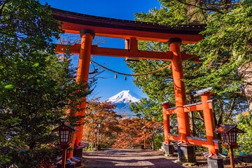 Mt. Fuji & Hakone: Fuji Sengen Shrine, Cruise, and Ramen-Making