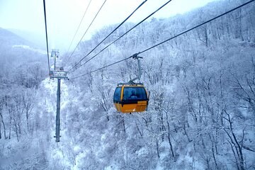 Balwangsan Cable Car Tour: Forest Trails & Scenic Highland Views