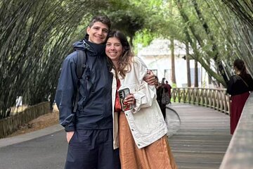 One Day Chengdu Itinerary Panda and Buddha Adventure