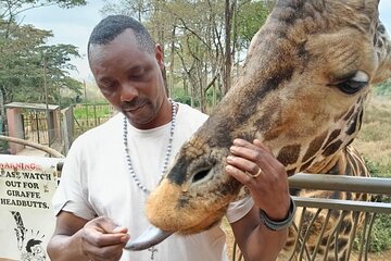 Nairobi National Park and Giraffe Centre Half day Tour