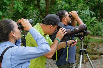 The best bird watching tour in Arenal