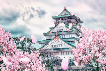 Osaka and Nara Day Tour with Private Transportation