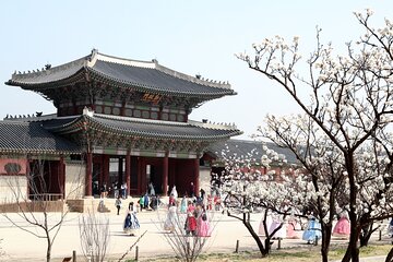Your Personal Journey to Korea's Royal Heritage