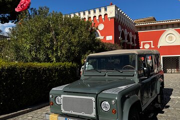 Nice Wine tasting in the hinterland in Defender
