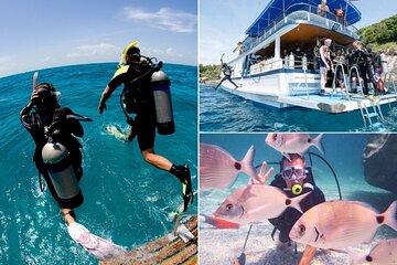 Alanya Scuba Diving with Two Dives, Lunch and Transfer