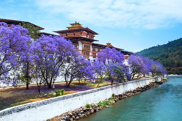 From Bhutan 9 Nights 10 Days Explore Beautiful Bhutan 