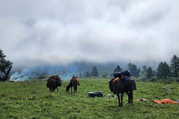 4-Day Horseback Adventure to Khagiin Khar Lake