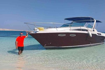 VIP Speed Boat Tour to Dolphin House & Snorkeling or Magawich 