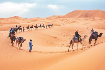 Marrakech to Merzouga Desert 3-Day via the High Atlas Mountains