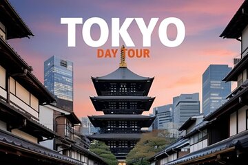 Tokyo: Private Customize Day Tour With Hotel Transfer