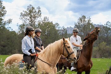 Montserrat Horse Riding and Walking Small Group Tour 