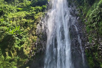 Materuni Falls and Chemka Springs Natures Best in One Day