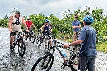 Ubud Cultural and Educational Downhill Cycling Tour 