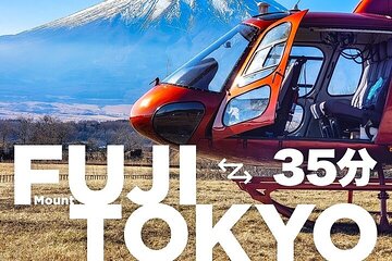 【TOKYO↔︎FUJI】Round-Trip Tour: Tokyo to FUJI (3-Hour Stay)
