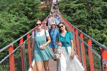 From Seoul: Exclusive DMZ Tour with North Korean Defector Meet-Up