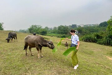 From Hanoi: Explore Hidden Gems of Duong Lam with Small Group
