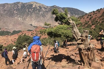 Discover the High Atlas – Guided Day Hike in a private-feel group