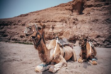 Desert Thrills in Agafay Full Experience with Pool