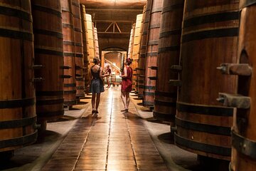 Wine Experience Tour in Maipo Valley 