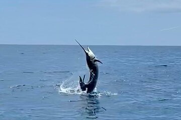 Fishing Adventures in Papagayo Bay Guanacaste