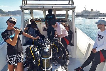 Shark Cage Diving Thrill Seekers Paradise