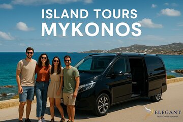 Private 4 Hours Mykonos Island Tour