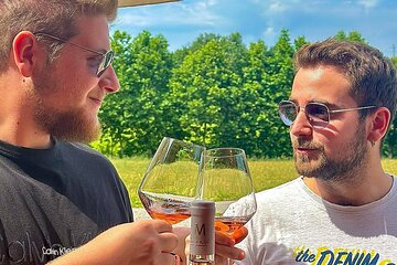Wine Tasting with Panoramic Views of the Lazise Countryside