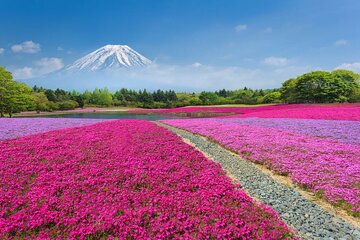 Mt Fuji Lake Kawaguchi and Yamanakako Onsen Tour from Tokyo