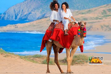 Beach Camel Ride & Encounter in Cabo 