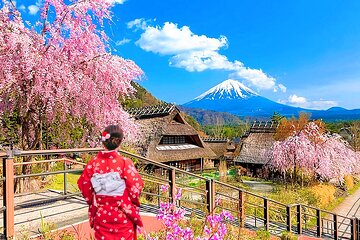 Mount Fuji Day Tour:Scenic Lakes,Village, Pagoda,Oshino Hakkai 