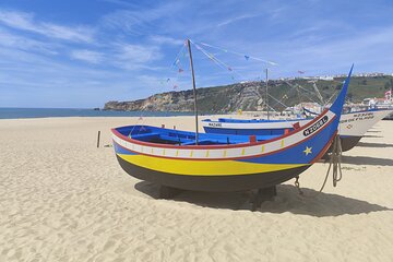 Tour / Transfer Lisbon Porto or Porto Lisbon