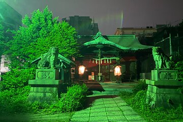 Tokyo Deep Night Tour with Sento Bath and Locul Food