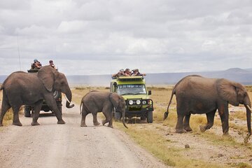 3 Days Maasai Mara Guided Safari on 4x4 Land Cruiser from Nairobi