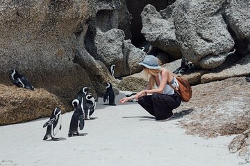 Half Day Cape Point and Boulders Beach Penguin Group Tour