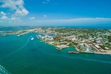 Vitamin Sea Dolphin Safari: Private Key West Charter