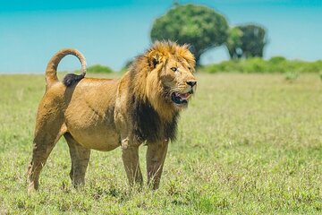  Explore Akagera National Park with Private Guided Tour