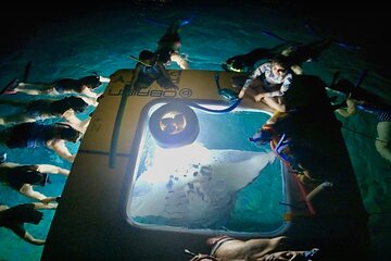 Manta Ray Snorkel Experience 
