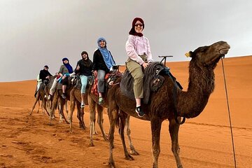 3 days from Marrakech to Merzoga: Camel ride and Lux tent