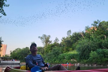 Downtown Houston Bat and Skyline Kayaking Tour