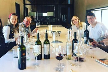 Lujan de Cuyo Wine and Food Experience Private Transfer