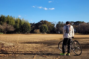 Experience Kyoto Gion at Night E-Bike Tour