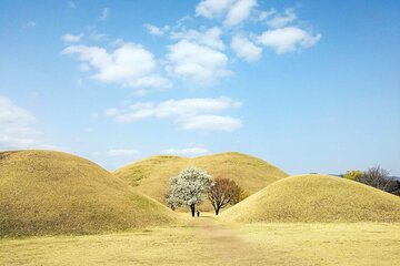 Discover Eastern Korea in 4days: All-Inclusive Experience 
