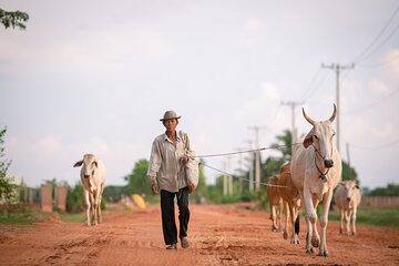 Explore the real Siem Reap Cambodia with a local guide