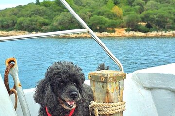 Private Brijuni boat trip