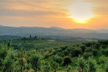 Discover Wine, Oil and Cheese at an Organic Farm