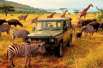 Day Trip Private Safari in Akagera Park with hotel pickup